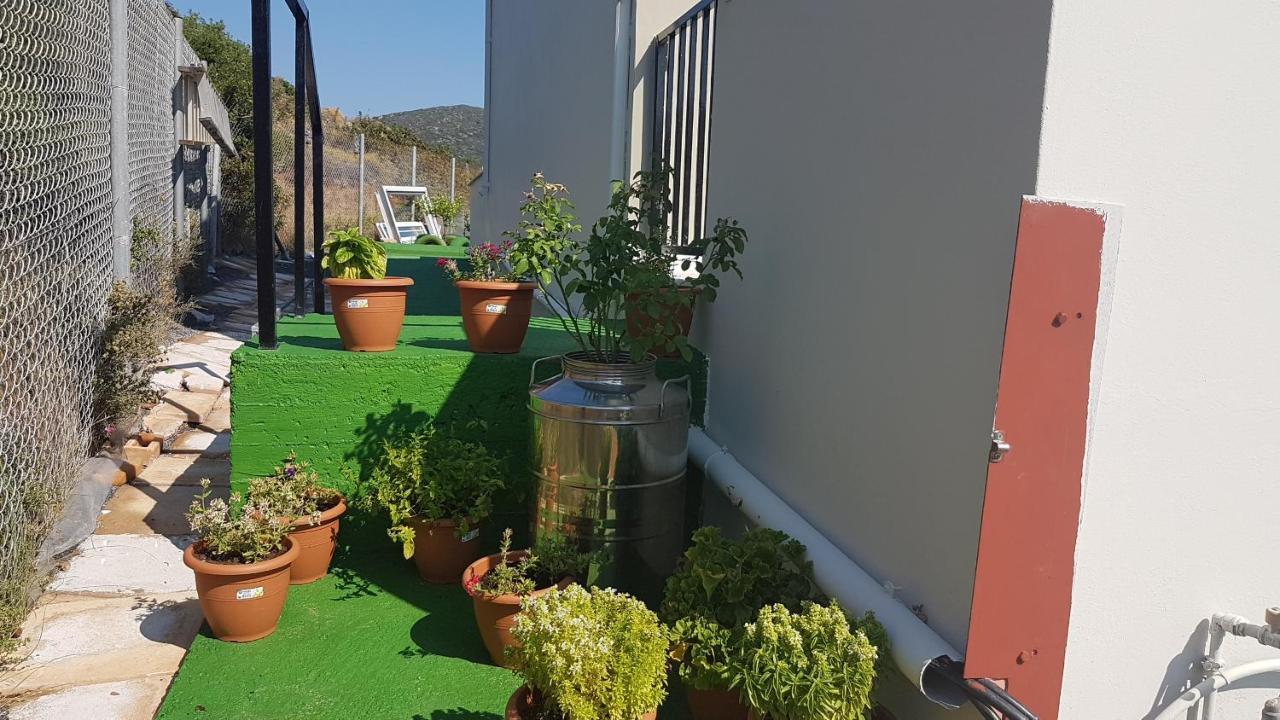 Anatoli Studios Agios Fokas  Exterior foto